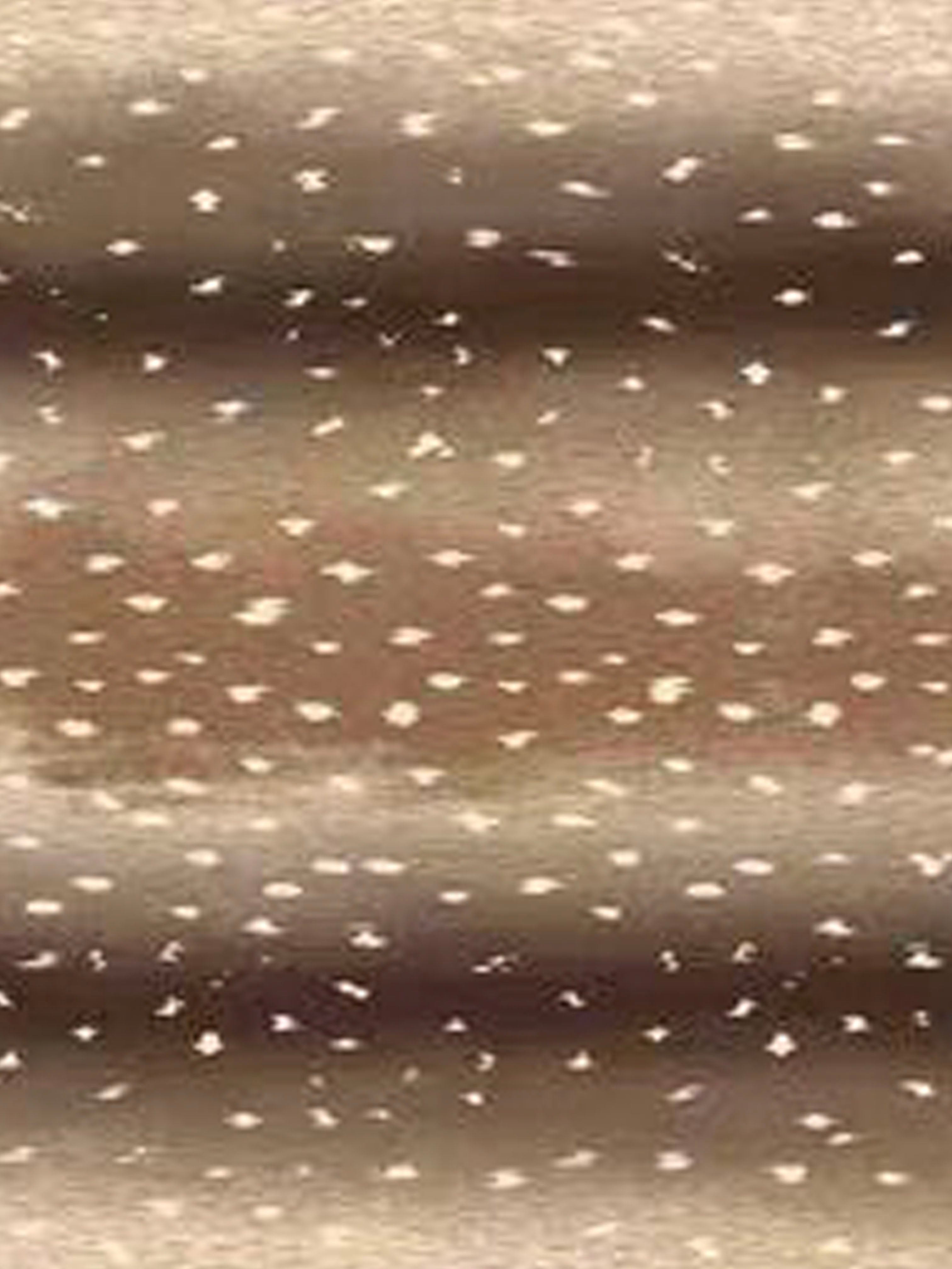 Fawn Deer prints Premium Modal Hijab